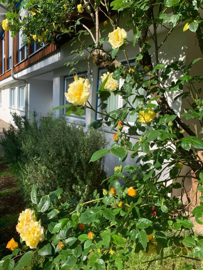 Ferienwohnung Am Krippenhof Baden-Baden Exterior photo