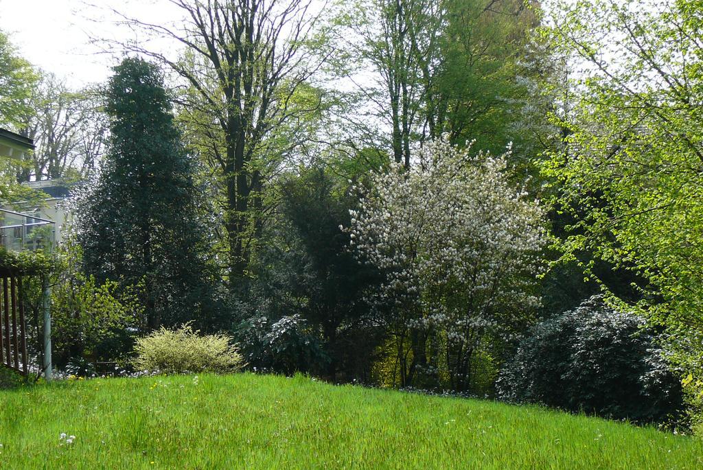Ferienwohnung Am Krippenhof Baden-Baden Room photo